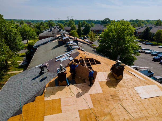 Best Storm Damage Roof Repair  in Fairmead, CA