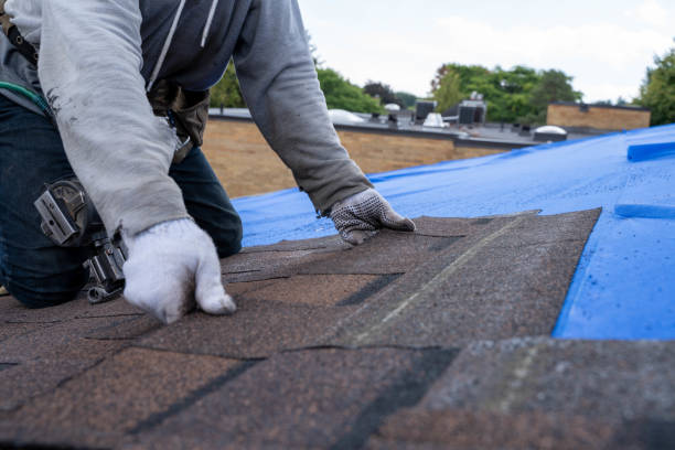 Best Roof Repair Services  in Fairmead, CA
